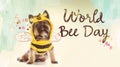 Adorable dog dressed as a bee with a heartwarming watercolor background for World Bee Day