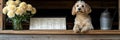 Adorable Dog Posing with Restaurant Menu on Rustic Table, Pet-Friendly Dining Concept Royalty Free Stock Photo