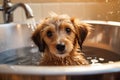 Adorable Dog\'s Bath Time Adventure. Heartwarming moment of a cute dog happily taking a bath. Ai generated