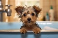Adorable Dog\'s Bath Time Adventure. Heartwarming moment of a cute dog happily taking a bath. Ai generated