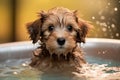 Adorable Dog\'s Bath Time Adventure. Heartwarming moment of a cute dog happily taking a bath. Ai generated