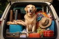 An adorable dog sits calmly amongst a load of luggage in the back of a car, eagerly anticipating the journey ahead, Golden Royalty Free Stock Photo