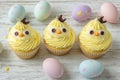 Adorable Easter chick cupcakes. Overhead view of a table setting with a white wooden backdrop Royalty Free Stock Photo