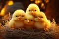 Adorable Easter chicks huddled together in a