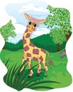Adorable exotic giraffe in tropical forest or rainforest full of trees