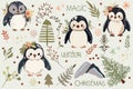 Adorable festive penguins. Joyful penguin character, smiling aquatic non flying bird. Banner with Arctic Baby penguin