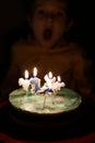 Adorable five year old kid celebrating his birthday and blowing candles on homemade baked cake, indoor. Birthday party