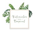 Adorable floral exotic horizontal square frame for wedding invite and greeeting card, tropical leaves. Hand drawn