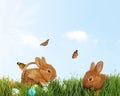 Adorable fluffy bunnies on sunny day. Happy Easter