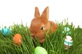 Adorable fluffy bunny with Easter eggs in grass against white background Royalty Free Stock Photo