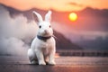 Adorable Fluffy Bunny in the Glow of the Sun. Generated by AI Royalty Free Stock Photo