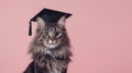 Adorable fluffy cat wearing graduation cap on pastel background Royalty Free Stock Photo