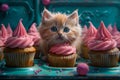 Adorable Fluffy Kitten Exploring Pink Cupcakes on Turquoise Background, Cute Pet with Sweet Desserts