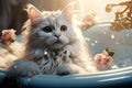 adorable fluffy Maine coon washes in the basin. cat spa. pet care. grooming pet