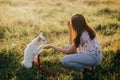 Adorable fluffy puppy giving paw to girl owner and having treat. Woman training cute white puppy to behave in summer meadow in