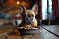 adorable french bulldog sitting next to a bowl of food