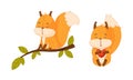 Adorable funny red squirrel forest animal sitting on thee branch and holding red heart cartoon vector illustration Royalty Free Stock Photo