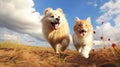 Adorable furry animal duo running happily. Cute Orange shorthair cat and Samoyed dog trotting toward camera.