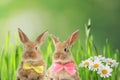 Adorable furry Easter bunnies with cute bow ties