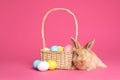 Adorable furry Easter bunny near wicker basket and dyed eggs Royalty Free Stock Photo