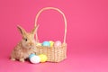 Adorable furry Easter bunny near wicker basket and dyed eggs on color background Royalty Free Stock Photo