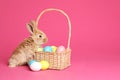 Adorable furry Easter bunny near wicker basket and dyed eggs on color background Royalty Free Stock Photo