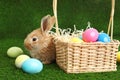 Adorable furry Easter bunny near wicker basket and dyed eggs Royalty Free Stock Photo