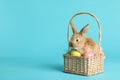 Adorable furry Easter bunny in wicker basket with dyed eggs on color background Royalty Free Stock Photo