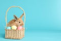 Adorable furry Easter bunny in wicker basket with dyed eggs on color background Royalty Free Stock Photo