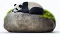 Adorable giant panda bear sleeping
