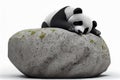 Adorable giant panda bear sleeping