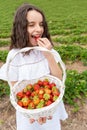 Adorable girl eating fresh organic strawberry. Royalty Free Stock Photo