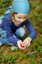 Adorable girl picking foxberries in the forest Royalty Free Stock Photo