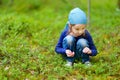 Adorable girl picking foxberries in the forest Royalty Free Stock Photo