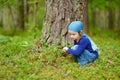 Adorable girl picking foxberries in the forest Royalty Free Stock Photo
