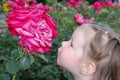 Adorable girl wants to kiss a rose