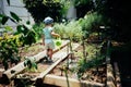 Adorable girl watering garden plants with watering can Royalty Free Stock Photo