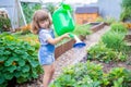 Adorable girl watering plants in the garden Royalty Free Stock Photo