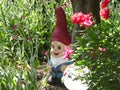 Cute Gnome With Red Hat Decoration In A Bright Green Garden