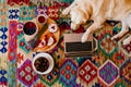 adorable golden retriever dog lying on the floor on a colorful carpet. healthy breakfast besides. working on laptop
