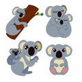 Adorable gray koala in various poses. One sleeping on tree a couple of koalas hugging mother koala with baby and cute