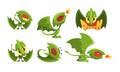 Adorable Green Little Dragons Collection, Funny Fantasy Creatures Cartoon Character Vector Illustration on White