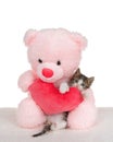 Polydactyl kitten hugging pink bear with red heart