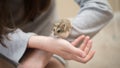 Hamster Cuteness with a child