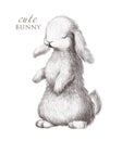 Adorable hand drawn cute bunny portrait isolated.