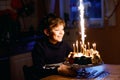 Adorable happy blond little kid boy celebrating his birthday. Child blowing candles on homemade baked cake, indoor Royalty Free Stock Photo