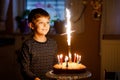 Adorable happy blond little kid boy celebrating his birthday. Child blowing candles on homemade baked cake, indoor Royalty Free Stock Photo