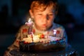 Adorable happy blond little kid boy celebrating his birthday. Child blowing seven candles on homemade baked cake, indoor Royalty Free Stock Photo