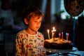 Adorable happy blond little kid boy celebrating his birthday. Child blowing seven candles on homemade baked cake, indoor Royalty Free Stock Photo