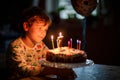 Adorable happy blond little kid boy celebrating his birthday. Child blowing seven candles on homemade baked cake, indoor Royalty Free Stock Photo